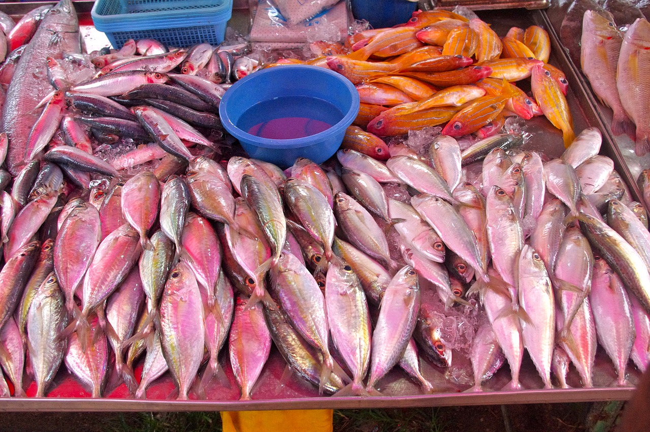 Recette avec du poisson