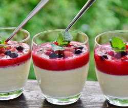 panna cotta thermomix