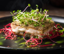 Pavé de poisson à la croûte d'herbes et lit de pousses de radis rouge germées