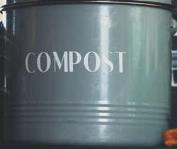 compost de cuisine