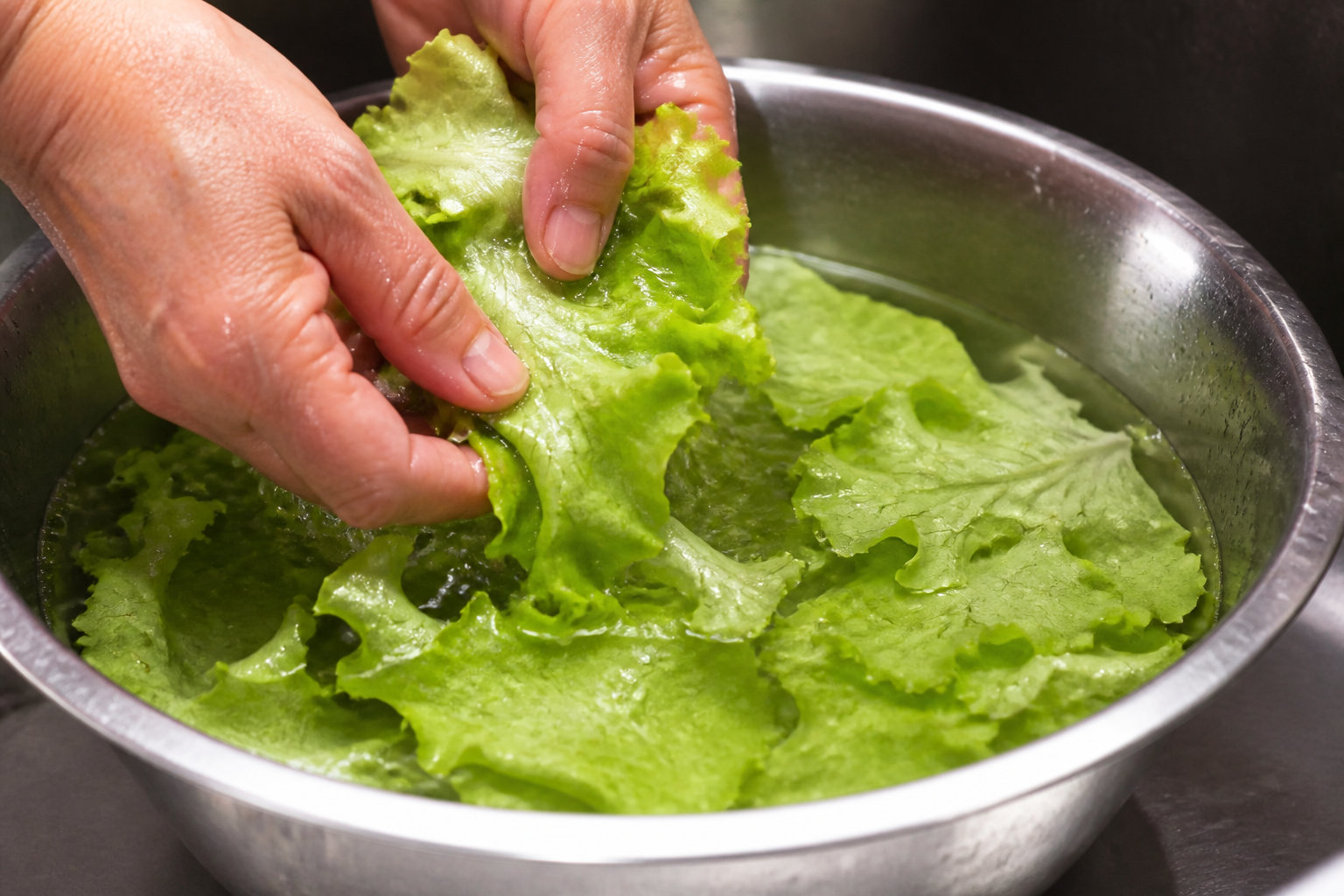 Comment conserver votre salade fraîche plus longtemps