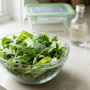 Comment conserver votre salade pour garder son croquant